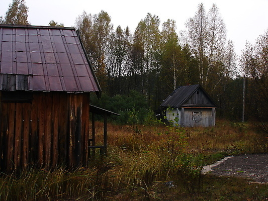 포토 JPG 해외이미지 나무 도로 하늘 지붕 주택 사람없음 마을 가을 숲 법정 우울감 해외202004 해외포토 식물 계절 감정 길 교통시설 건물 파일형식 이미지허브