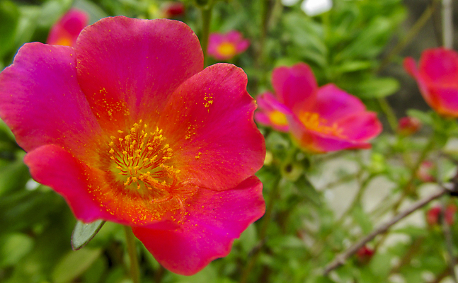 포토 JPG 해외이미지 사람없음 해외202004 해외포토 파일형식 이미지허브