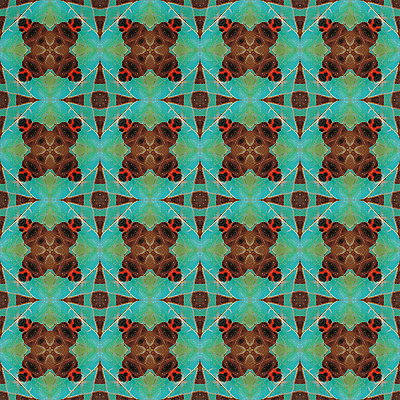 포토 JPG 해외이미지 동물 나비 곤충 백그라운드 패턴 날개 추상 사람없음 컬러풀 벌레 묘사 질감 해외202004 해외포토 컬러 무늬 파일형식 이미지허브