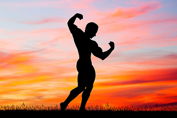 포토 JPG 해외이미지 남자 실루엣 스포츠 신체 일러스트 근육 사람없음 힘 일몰 보디빌딩 체육관 근육질 쇼 이두근 해외202004 해외포토 촬영기법 사람 노을 헬스 몸매 파일형식 이미지허브