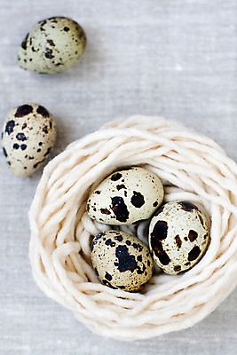 포토 JPG 해외이미지 접시 다이어트 아침 건강 사람없음 흰색 직물 면 도자기 실 맛 둥지 아침식사 은색 작음 메추리 해외202004 해외포토 주간 식기 컬러 컨셉 식사 크기 파일형식 이미지허브