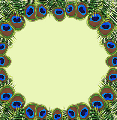 포토 JPG 해외이미지 동물 일러스트 자연 조류 프레임 사람없음 장식 초록색 파란색 컬러풀 공작 깃털 꼬리 엽서 해외202004 해외일러스트 컬러 편지 생태계 파일형식 이미지허브