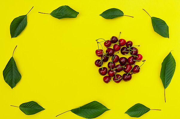 포토 JPG 해외이미지 디자인 계절 백그라운드 잎 패턴 과일 추상 프레임 건강 사람없음 빨간색 초록색 여름 세트 컬러풀 노란색 신선 체리 설정 내추럴 숙성 해외202004 해외포토 식물 컬러 무늬 파일형식 이미지허브