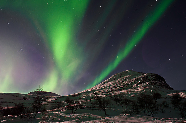 포토 JPG 해외이미지 별 바다 포즈 백그라운드 겨울 자연 하늘 산 노르웨이 풍경 사람없음 가로 초록색 컬러풀 우주 별자리 추위 야간 신비 북극 빛망울 오로라 넘어짐 수평선 해외202004 해외포토 자연요소 계절 유럽 컬러 컨셉 모션 자연현상 빛 극지방 생태계 파일형식 이미지허브