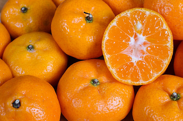 포토 JPG 해외이미지 음식 농업 오렌지 과일 부분 귤 건강 사람없음 노란색 쌓기 원형 달콤 맛 시원함 상쾌 유기농 흙더미 구성 숙성 채식주의자 비건 해외202004 해외포토 도형 웰빙 감정 산업 컬러 컨셉 모션 흙 채식 파일형식 더미 이미지허브