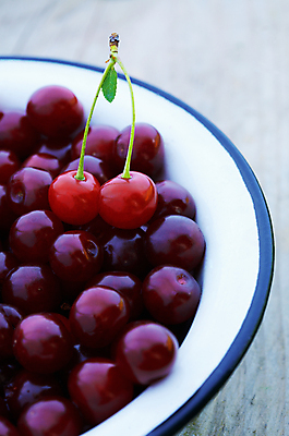 포토 JPG 해외이미지 열매 음식 줄기 잎 과일 자연 건강 사람없음 빨간색 초록색 여름 빛 침묵 흰색 신선 체리 그룹 달콤 상쾌 유기농 날것 흙더미 내추럴 숙성 채식주의자 해외202004 해외포토 식물 웰빙 계절 감정 컬러 소리 흙 맛 생태계 채식 파일형식 더미 이미지허브