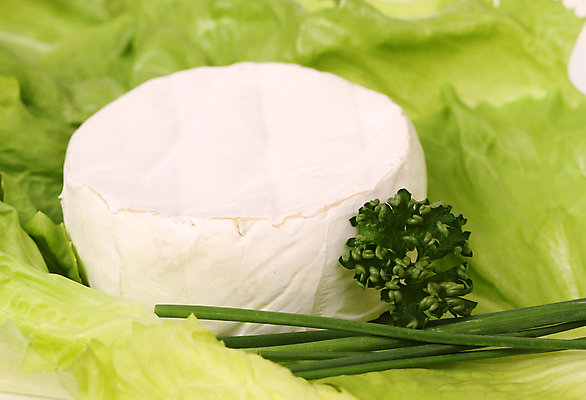 포토 JPG 해외이미지 음식 치즈 유제품 파슬리 건강 사람없음 식사 저녁식사 샐러드 우유 아침식사 먹기 쪽파 고립 칼슘 해외202004 해외포토 채소 모션 파 파일형식 이미지허브