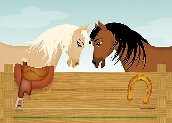 포토 JPG 해외이미지 동물 커플 여자 일러스트 포유류 사람없음 울타리 반려동물 농장 승차 갈기 테라피 안장 망아지 외양간 편자 해외202004 해외일러스트 새끼 농업 관계 모션 사람 담장 뷰티 말_동물 말발굽 파일형식 이미지허브