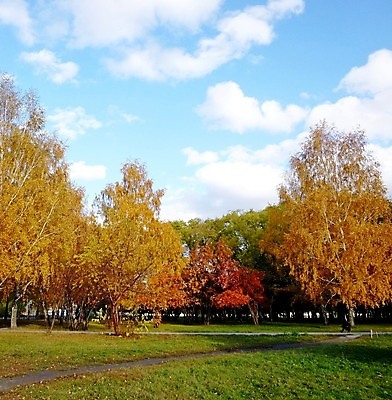 포토 JPG 해외이미지 나무 구름 계절 공원 백그라운드 단풍 잎 벤치 오렌지 자연 풍경 사람없음 야외 목재 가로 빨간색 초록색 컬러풀 햇빛 갈색 노란색 환경 정원 가을 시골 도시 숲 땅 장면 멀리 해외202004 해외포토 자연요소 식물 공공시설 컬러 의자 과일 재료 태양 생태계 파일형식 이미지허브