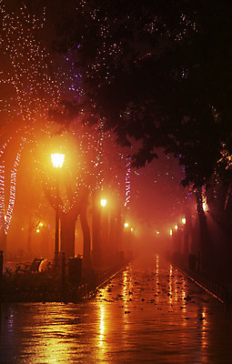 포토 JPG 해외이미지 나무 계절 공원 여행 백그라운드 벤치 오렌지 건축양식 자연 휴가 풍경 사람없음 야외 목재 빛 노란색 평화 검은색 어둠 침묵 산책 가을 등불 램프 도시 센터 역사 정상 야간 숲 시원함 오솔길 싱글 장면 타운 우크라이나 해외202004 해외포토 자연요소 식물 공공시설 건축 유럽 길 컬러 컨셉 의자 과일 재료 휴식 조명 소리 생태계 파일형식 이미지허브