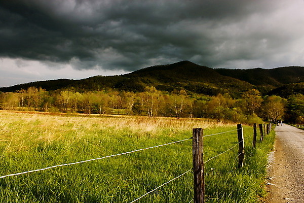 포토 JPG 해외이미지 나무 구름 공원 자국 자연 아침 산 풍경 사람없음 초록색 여름 울타리 봄 가을 신선 황금 매끈함 시원함 전국 해외202004 해외포토 주간 자연요소 식물 계절 공공시설 컬러 담장 감각 생태계 파일형식 이미지허브