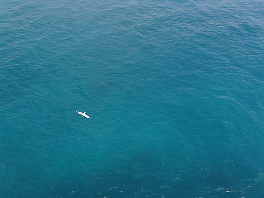 포토 JPG 해외이미지 유럽 바다 섬 여행 요트 태국 자연 휴가 항해 안테나 풍경 사람없음 야외 물 여름 파란색 항구 맑음 만 보트 고급 정상 지중해 인도네시아 포트 브라질 네비게이션 깊이 파라다이스 브라질사람 해외202004 해외포토 자연요소 계절 나라 아시아 컬러 컨셉 배_교통 통신 교통시설 날씨 남아메리카 생태계 파일형식 이미지허브