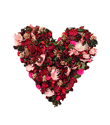 포토 JPG 해외이미지 모양 식물 꽃 잎 결혼식 건조 발렌타인데이 사랑 사람없음 장식 빨간색 장미 벚꽃 하트 신용카드 메시지 허브 심볼 데이지 거베라 큐피드 약혼 고립 해외202004 해외포토 감정 컬러 결혼 데이이벤트 금융 약속 파일형식 이미지허브