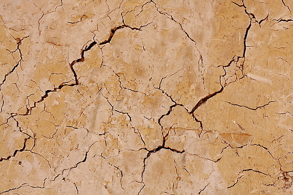 포토 JPG 해외이미지 지구 백그라운드 패턴 자연 표면 날씨 추상 건조 사람없음 여름 글로벌 갈색 환경 흙 거친 균열 땅 묘사 부식 질감 점토 다리찢기 내추럴 깨짐 땅바닥 해외202004 해외포토 계절 컬러 컨셉 무늬 모션 바닥 생태계 파일형식 이미지허브