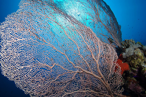 포토 JPG 해외이미지 바다 사람없음 해외202004 해외포토 파일형식 이미지허브