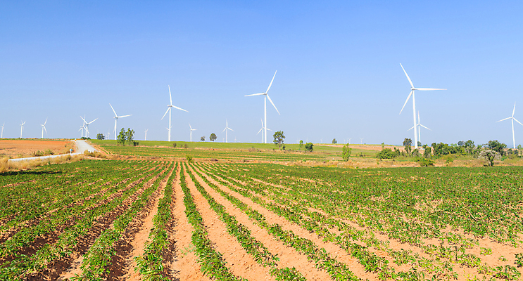 포토 JPG 해외이미지 식물 구름 산업 밭 날개 자연 하늘 바람 풍경 사람없음 초록색 파란색 농장 환경 힘 재활용 풍차 발전기 에너지 흰색 칼날 보호 프로펠러 자원 세대 유지 방앗간 혁명 개발 생태학 공급 해외202004 해외포토 자연요소 교육 컬러 컨셉 농업 날씨 발전소 친환경 생태계 파일형식 이미지허브