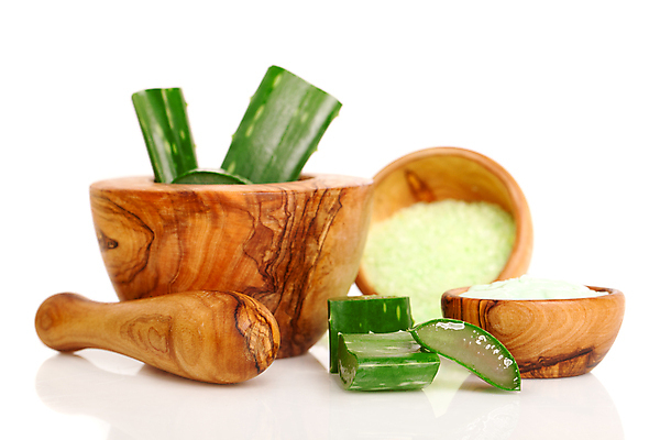 포토 JPG 해외이미지 식물 조각 잎 재료 사람없음 목재 초록색 뷰티 화장품 신선 사발 알로에 알로에베라 해외202004 해외포토 나무 컬러 사기그릇 파일형식 이미지허브