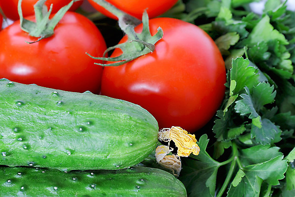 포토 JPG 해외이미지 음식 잎 토마토 채소 오이 파슬리 건강 사람없음 빨간색 초록색 샐러드 신선 유기농 날것 고립 딜 정물화 채식주의자 해외202004 해외포토 식물 웰빙 컬러 그림 채식 파일형식 이미지허브