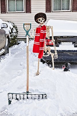 포토 JPG 해외이미지 계절 행복 교통수단 크리스마스 캐나다 겨울 자동차 조류 주택 골격 털 미소 사람없음 빨간색 쌓기 검은색 목도리 차도 추위 흰색 업무 삽 짐차 까마귀 눈보라 유지 삭제 깊이 폭설 해외202004 해외포토 동물 잡화 기념일 감정 도로 육상교통 컬러 교통 북아메리카 모션 눈_날씨 표정 건물 작업 자연재해 파일형식 이미지허브