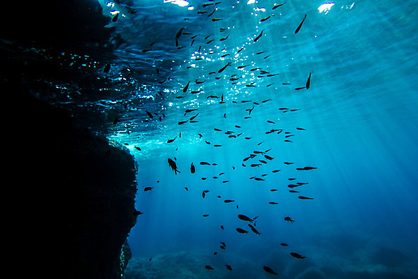 포토 JPG 해외이미지 디자인 바다 어류 풍경 사람없음 스노클링 잠수함 생물학 암초 해외202004 해외포토 교육 수중동물 수상스포츠 파일형식 이미지허브