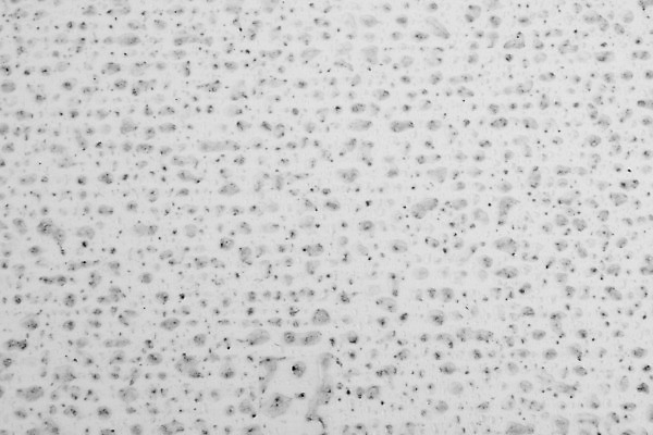 포토 JPG 해외이미지 모양 물결 음료 백그라운드 패턴 일러스트 창문 자연 유리 벽지 표면 날씨 추상 휴식 사람없음 물 파란색 환경 거품 젖음 흐름 흰색 물방울 투명 액체 떨어짐 빨래 매끈함 수분 빗방울 심볼 순수 질감 광택 내추럴 완전 해외202004 해외포토 자연요소 컬러 컨셉 가사 무늬 재질 감각 비_날씨 생태계 파일형식 이미지허브