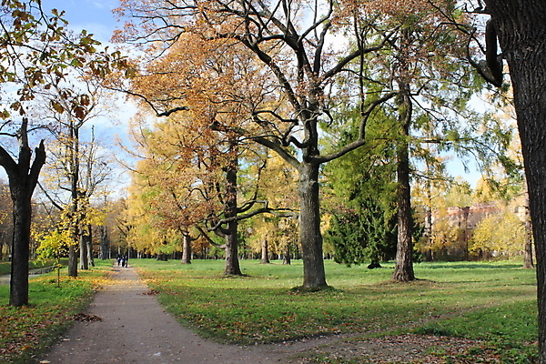 포토 JPG 해외이미지 나무 공원 길 잎 자연 휴식 건강 사람없음 목재 산책 가을 시트 해외202004 해외포토 식물 계절 공공시설 컨셉 재료 생태계 파일형식 이미지허브