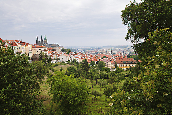 포토 JPG 해외이미지 나무 구름 유럽 여행 건축양식 지붕 주택 안테나 풍경 사람없음 야외 건물 가로 빨간색 초록색 여름 도시풍경 탑 도시 센터 역사 타일 장면 지역 체코 프라하 타운 멀리 스카이라인 공화국 보헤미아 옛날 올드타운 많음 해외202004 해외포토 자연요소 식물 건축물 계절 건축 나라 컬러 컨셉 통신 파일형식 이미지허브