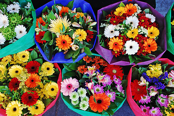 포토 JPG 해외이미지 식물 꽃잎 꽃 꽃다발 사람없음 컬러풀 정원 벚꽃 배열 데이지 해외202004 해외포토 컬러 파일형식 이미지허브