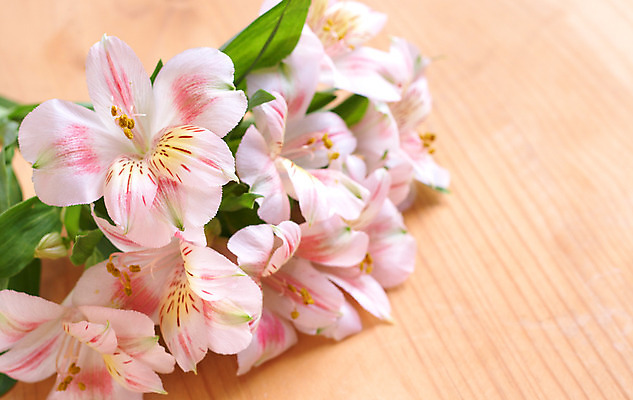 포토 JPG 해외이미지 꽃잎 꽃 분홍색 꽃다발 백그라운드 꽃무늬 발렌타인데이 선물 사람없음 목재 장식 초록색 여름 빛 봄 기쁨 흰색 축하 신선 다발 배열 기회 내추럴 거짓말 카피스페이스 해외202004 해외포토 나무 식물 계절 감정 컬러 컨셉 무늬 재료 데이이벤트 공백 파일형식 이미지허브