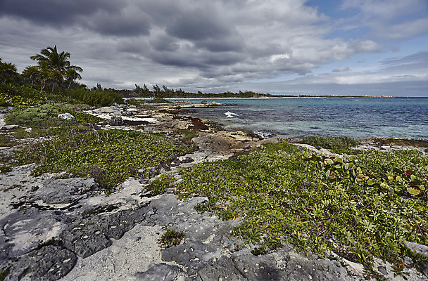 포토 JPG 해외이미지 모래 파도 바다 자연 휴가 멕시코 풍경 사람없음 여름 흰색 고독 휴양지 암초 파라다이스 해외202004 해외포토 계절 감정 컬러 북아메리카 장소 생태계 파일형식 이미지허브