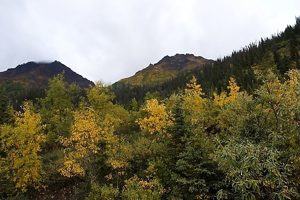 포토 JPG 해외이미지 나무 구름 공원 백그라운드 겨울 자국 자연 하늘 휴가 산 풍경 사람없음 야외 초록색 물 걷기 얼음 미국 트래킹 하이킹 시골 황무지 숲 배낭여행 산등성이 빙하 알래스카 고립 리갈 전국 절정 해외202004 해외포토 자연요소 식물 계절 공공시설 컬러 여행 북아메리카 모션 레저 생태계 파일형식 이미지허브