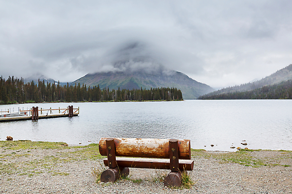 포토 JPG 해외이미지 계절 공원 호수 야생동물 여행 크리스마스 겨울 자연 휴가 산 풍경 사람없음 야외 물 여름 태양 평화 맑음 미국 침묵 트래킹 하이킹 수확 가을 소나무 황무지 빙하 지형 격려 북쪽 전국 특별함 해외202004 해외포토 자연요소 나무 동물 공공시설 기념일 감정 컨셉 북아메리카 농업 모션 레저 날씨 소리 방향 생태계 파일형식 이미지허브