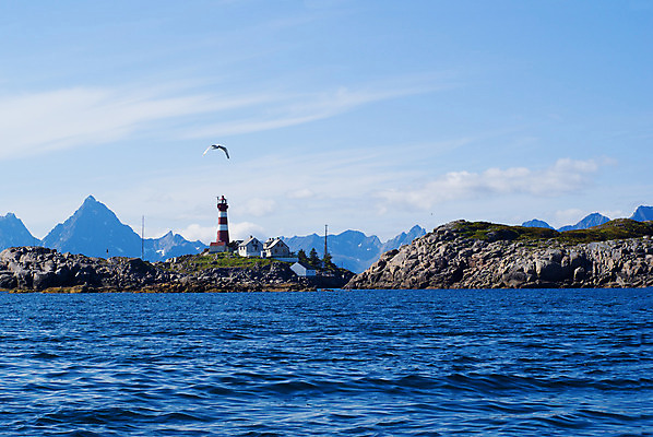 포토 JPG 해외이미지 바다 섬 여행 지도 자연 갈매기 조류 하늘 조명 등대 항해 노르웨이 경고 안전 풍경 사람없음 야외 빨간색 세로 물 파란색 빛 탑 항구 희망 침묵 장비 흰색 만 도움 가장자리 보호 위험 신호등 방향 심볼 사인 태평양 대서양 넘어짐 해외202004 해외포토 자연요소 동물 건축물 감정 유럽 컬러 컨셉 배_교통 교통시설 모션 소리 둘레 생태계 파일형식 이미지허브