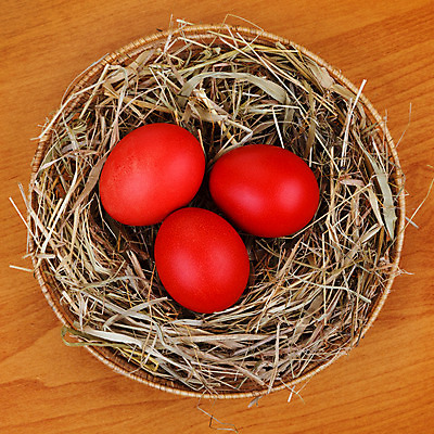 포토 JPG 해외이미지 동물 음식 백그라운드 컨셉 자연 조류 휴가 부활절 주택 사람없음 장식 가로 빨간색 반려동물 봄 나뭇가지 축하 그룹 둥지 보호 작음 오브젝트 보안 밀짚 돌봄 해외202004 해외포토 나무 계절 기념일 컬러 모션 안전 건물 짚 크기 생태계 파일형식 이미지허브