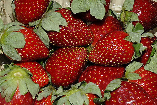 포토 JPG 해외이미지 계절 과일 딸기 건강 사람없음 빨간색 농장 과자 케이크 주스 신선 칼로리 제빵사 해외202004 해외포토 직업 음료 컬러 농업 디저트 파일형식 이미지허브