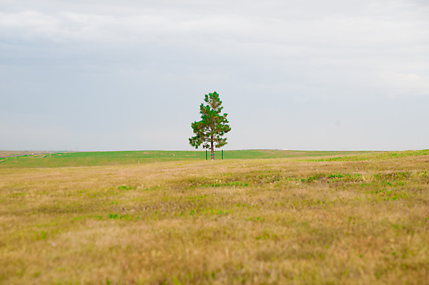 포토 JPG 해외이미지 주간 나무 도로 여행 잎 밭 자연 하늘 거리 그림자 풍경 사람없음 야외 초록색 여름 파란색 환경 정원 맑음 미국 흰색 분위기 6월 서비스 대륙 원예 다듬기 심기 해외202004 해외포토 자연요소 식물 계절 길 컬러 컨셉 북아메리카 농업 교통시설 모션 날씨 취미 날짜 생태계 파일형식 이미지허브