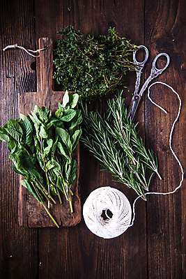 포토 JPG 해외이미지 백그라운드 잎 파슬리 건강 사람없음 목재 초록색 주방 정원 시골 신선 양념 다발 수집 민트 허브 향신료 준비 유기농 날것 머리위 향 바질 로즈메리 내추럴 백리향 해외202004 해외포토 나무 식물 웰빙 컬러 채소 재료 향미료 파일형식 이미지허브