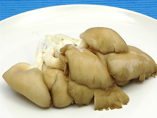 포토 JPG 해외이미지 접시 음식 백그라운드 채소 사람없음 파란색 버섯 굴 흰색 날것 생식 채식주의자 비건 해외202004 해외포토 식기 컬러 어패류 채식 파일형식 이미지허브