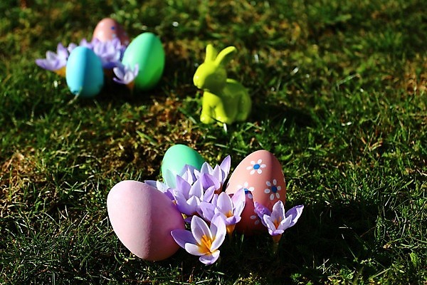 포토 JPG 해외이미지 자연 사람없음 4월 부활절계란 내추럴 해외202004 해외포토 부활절 계란 날짜 생태계 파일형식 이미지허브