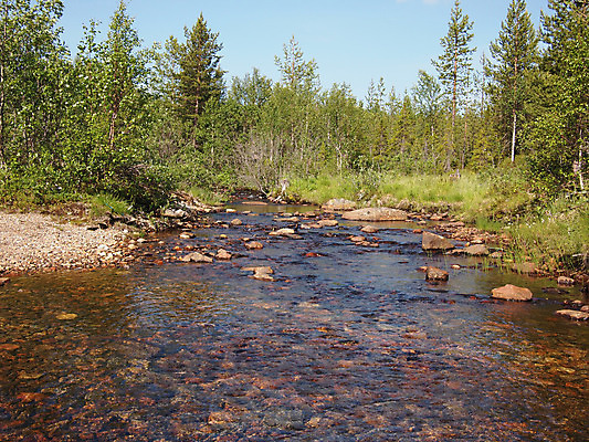 포토 JPG 해외이미지 구름 호수 여행 자연 하늘 휴가 풍경 사람없음 야외 가로 초록색 물 여름 파란색 강 햇빛 반사 우주 침묵 하이킹 고독 숲 러시아 장면 노젓기 북쪽 천국 멀리 대칭 뱃놀이 수평선 해외202004 해외포토 자연요소 계절 감정 유럽 컬러 배_교통 모션 레저 태양 전통놀이 소리 방향 생태계 파일형식 이미지허브