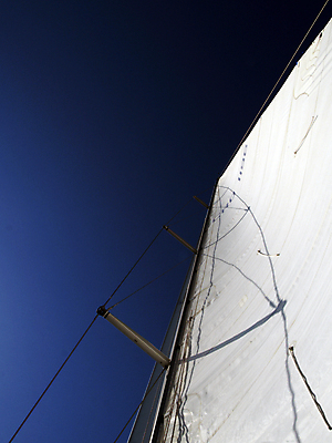 포토 JPG 해외이미지 바다 요트 자연 하늘 바람 항해 사람없음 태양 보트 해외202004 해외포토 자연요소 배_교통 날씨 생태계 파일형식 이미지허브