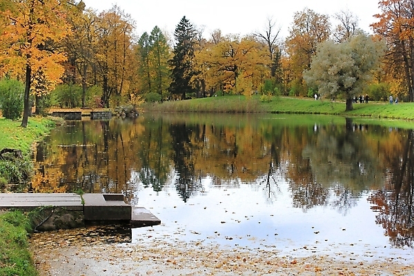 포토 JPG 해외이미지 나무 잎 사람없음 물 반사 해외202004 해외포토 자연요소 식물 파일형식 이미지허브