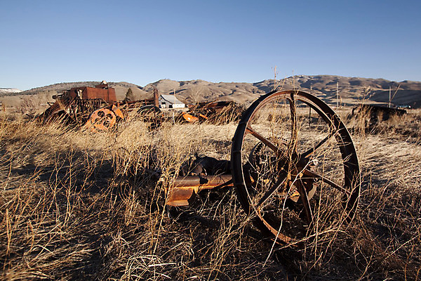 포토 JPG 해외이미지 1 산업 백그라운드 부분 협력 사람없음 세트 농장 금속 힘 기계 장비 과학기술 흰색 바퀴 원형 그룹 엔지니어 치아 큼 부식 싱글 톱니바퀴 전염 무거움 기어 공학 고립 고체 옛날 중고 철강 특별함 해외202004 해외포토 도형 교육 컬러 컨셉 농업 재질 기술 소화기관 기술자 무게 질병 크기 감염 파일형식 이미지허브