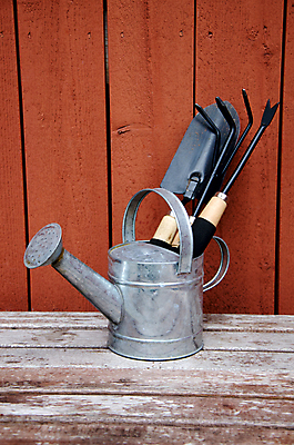 포토 JPG 해외이미지 식물 꽃 화분 백그라운드 컨셉 잎 농업 자연 새로움 사람없음 초록색 여름 농장 봄 성장 공구 모종삽 삽 물주기 원예 갈퀴 돌봄 모종 해외202004 해외포토 계절 산업 컬러 모션 취미 도구 생태계 파일형식 이미지허브