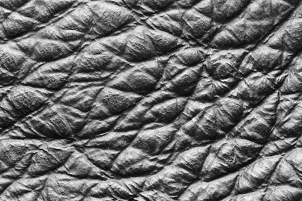 포토 JPG 해외이미지 동물 백그라운드 패턴 벽지 표면 추상 사람없음 검은색 거친 고급 가죽 피부 질감 날것 결 옛날 진짜 해외202004 해외포토 컬러 컨셉 무늬 신체부위 파일형식 이미지허브