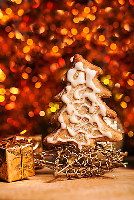 포토 JPG 해외이미지 모양 전통 계절 문화 음식 백그라운드 크리스마스 겨울 휴가 디저트 프레임 선물 사람없음 목재 장식 갈색 파티 쿠키 케이크 얼음 빵집 흰색 축하 화려 그룹 변화 달콤 큼 설탕 향신료 오브젝트 생강 전나무 시나몬 핸드메이드 해외202004 해외포토 자연요소 나무 기념일 컬러 컨셉 채소 재료 이벤트 상점 맛 크기 향미료 파일형식 이미지허브