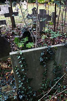 포토 JPG 해외이미지 십자가 사람없음 할로윈 안개 죽음 무덤 무서움 비석 묘사 까마귀 뿌연 해외202004 해외포토 감정 조류 날씨 파일형식 이미지허브