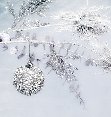 포토 JPG 해외이미지 계절 크리스마스장식 크리스마스 공 휴가 크리스마스카드 매달리기 사람없음 장식 크리스마스트리 나뭇가지 축하 신용카드 은색 여의주 해외202004 해외포토 나무 기념일 컬러 컨셉 모션 카드_감사 금융 파일형식 이미지허브