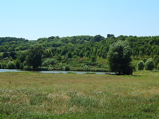 포토 JPG 해외이미지 나무 계절 공원 호수 여행 백그라운드 자연 하늘 파노라마 풍경 사람없음 초록색 물 여름 파란색 강 컬러풀 봄 숲 장면 내추럴 해외202004 해외포토 자연요소 식물 공공시설 컬러 촬영기법 생태계 파일형식 이미지허브
