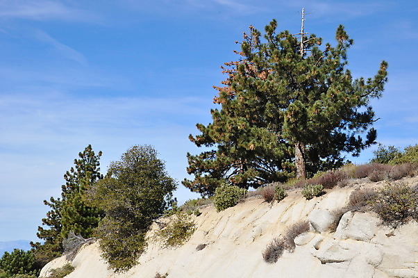 포토 JPG 해외이미지 주간 나무 식물 구름 공원 도로 자연 하늘 바람 휴가 산 손바닥 풍경 사람없음 초록색 침묵 봄 캠핑 하이킹 운전 사막 조약돌 고속도로 숲 대추 캘리포니아 대여 단절 돌무덤 오아시스 전국 해외202004 해외포토 자연요소 손 계절 공공시설 길 컬러 교통시설 모션 레저 날씨 미국 소리 돌_바위 무덤 생태계 파일형식 이미지허브